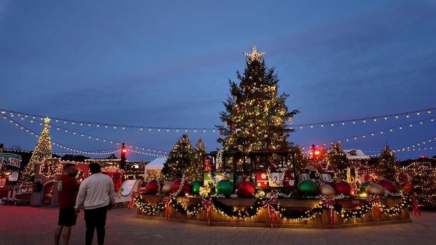 SCHELLVILLE TREE